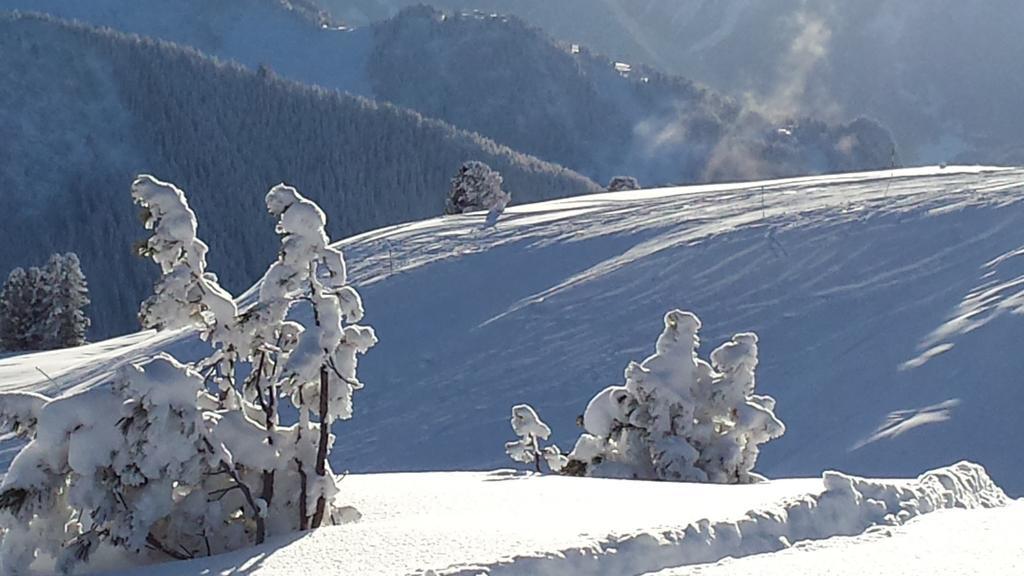 Landhaus Tirol Zellberg Exterior foto