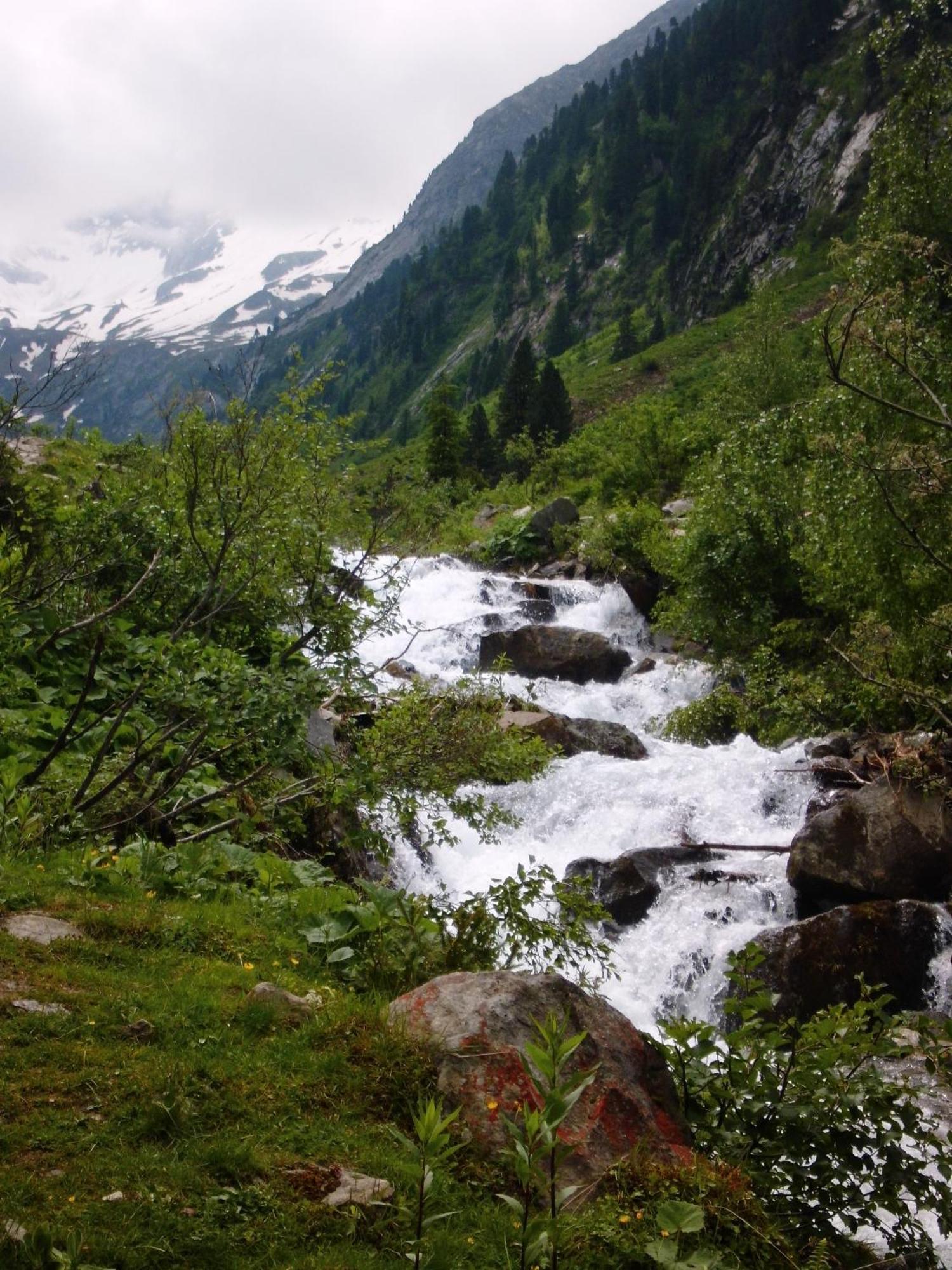 Landhaus Tirol Zellberg Exterior foto